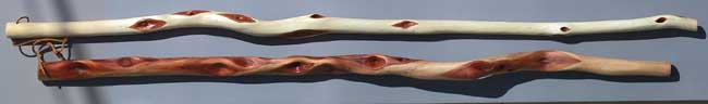 willow sticks