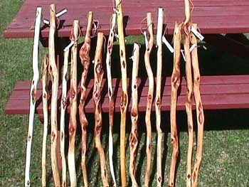 Diamond Willow Walking Sticks
